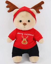 Brown Teddy with Outfit