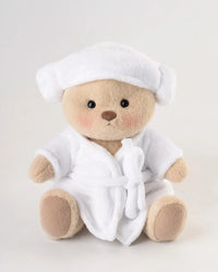 Brown Teddy with Outfit