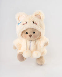 Brown Teddy with Outfit