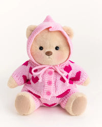 Brown Teddy with Outfit
