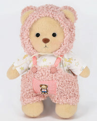 Brown Teddy with Outfit